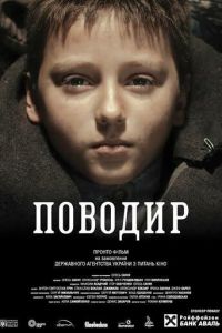  Поводырь (2013)